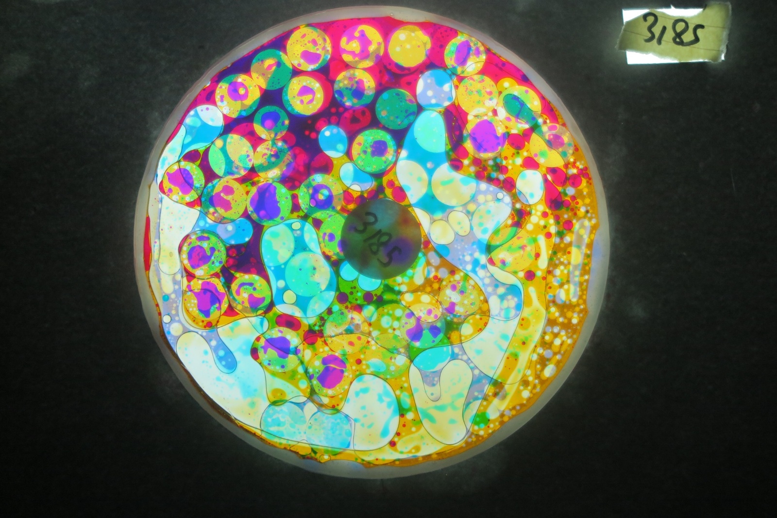 BV3185 bubble vision oil wheel